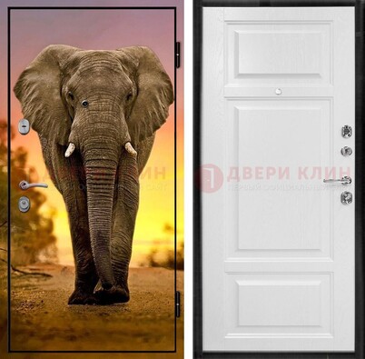 Металлическая дверь с фотопечатью слона ДФ-30 в Кубинке