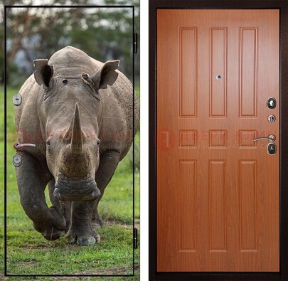 Металлическая дверь с фотопечатью носорога ДФ-31 в Пскове